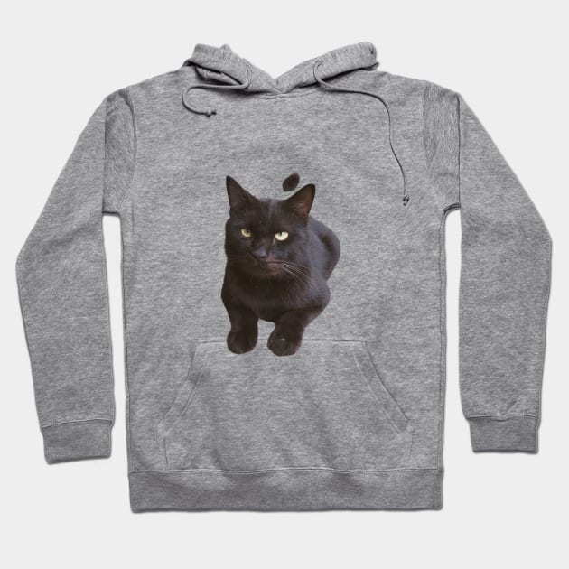 Shadow the Black Cat Hoodie by Graceheartwork